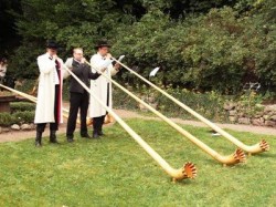 Alphornbläser